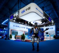 中智集团展现的