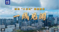 这些展现内容来自